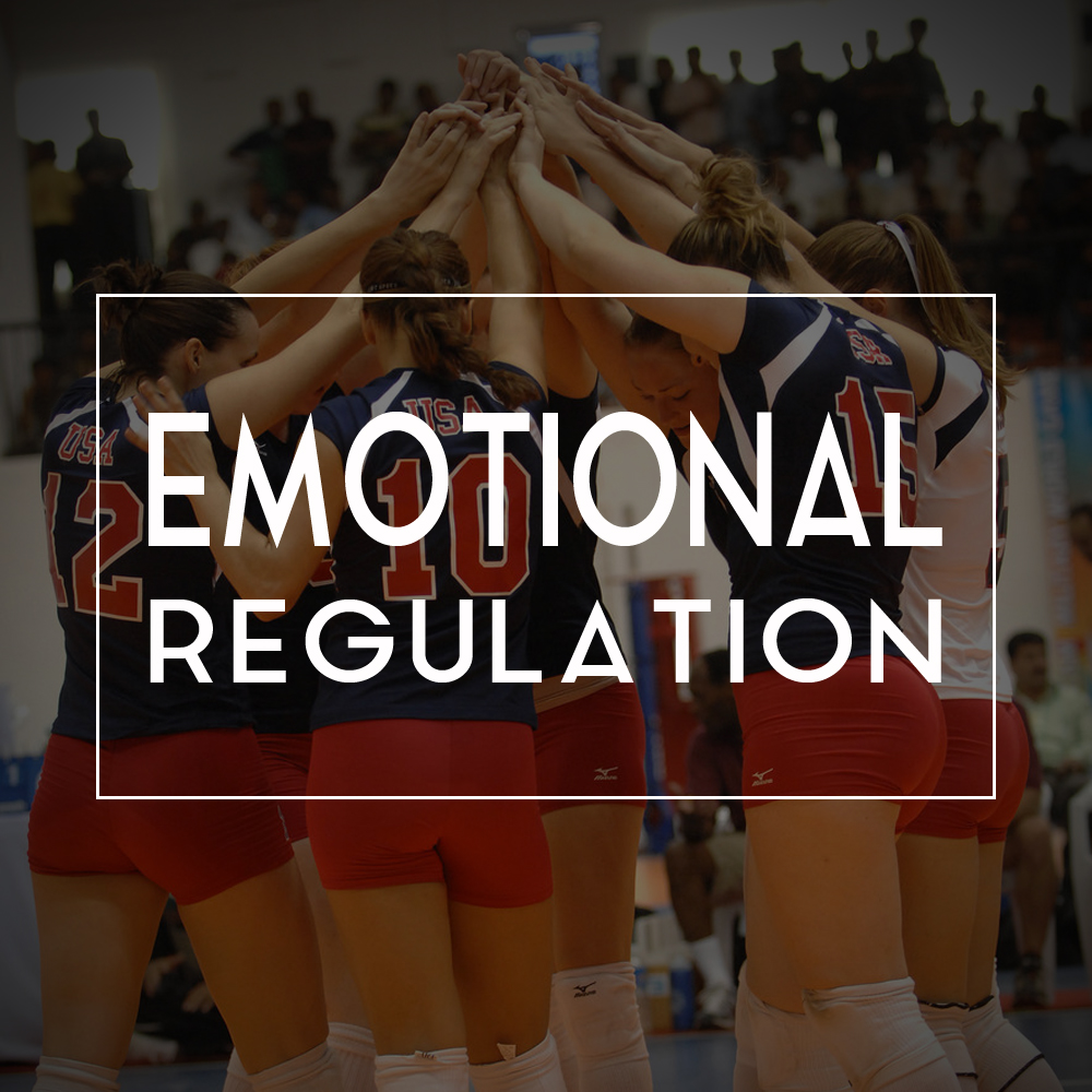 module-cover-emotional-regulation